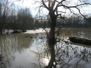 Stauhaltung 18 Donauhochwasser 01_2011