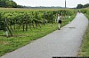 0100 small - Absdorf on the run - Weingartenlauf 2013.jpg