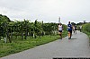 0127 small - Absdorf on the run - Weingartenlauf 2013.jpg