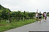 0134 small - Absdorf on the run - Weingartenlauf 2013.jpg