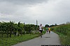 0149 small - Absdorf on the run - Weingartenlauf 2013.jpg