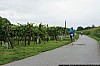 0163 small - Absdorf on the run - Weingartenlauf 2013.jpg