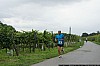 0165 small - Absdorf on the run - Weingartenlauf 2013.jpg