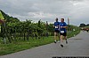 0241 small - Absdorf on the run - Weingartenlauf 2013.jpg