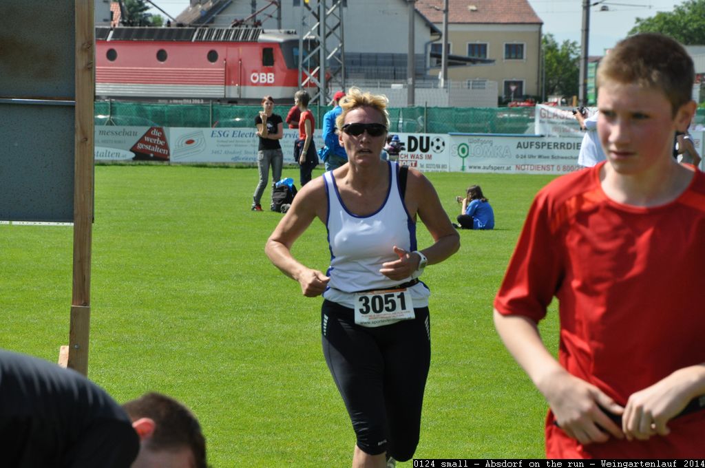 0124 small - Absdorf on the run - Weingartenlauf 2014.jpg
