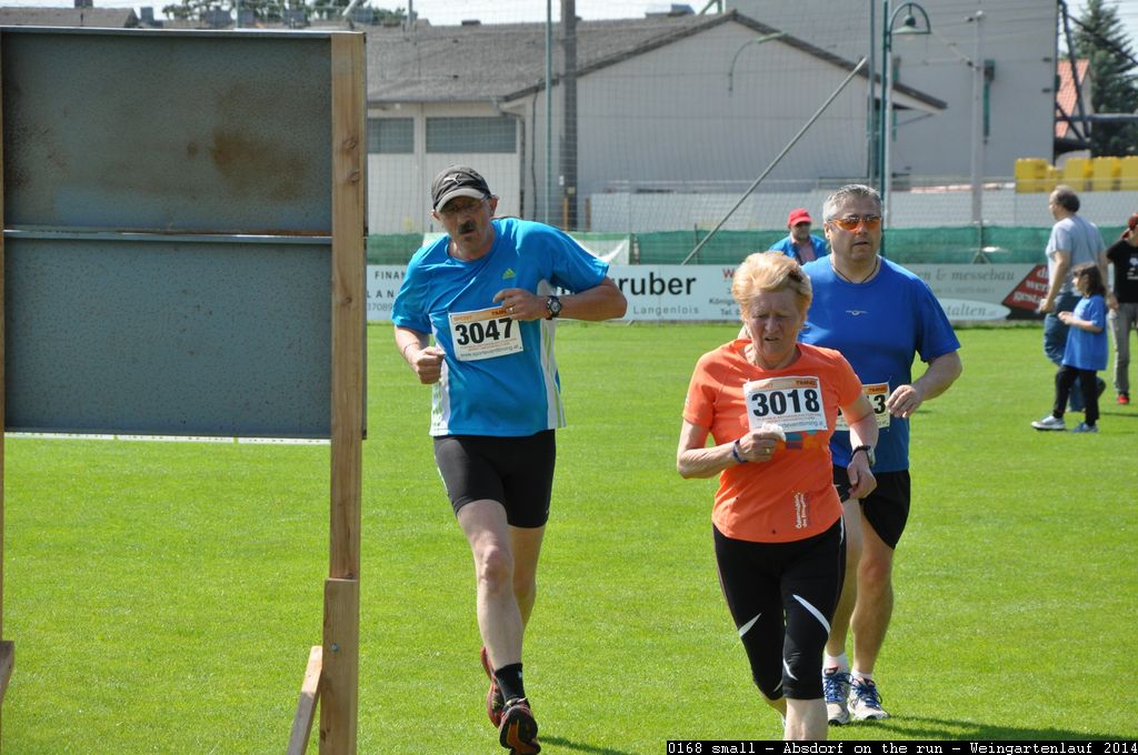 0168 small - Absdorf on the run - Weingartenlauf 2014.jpg