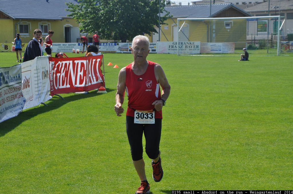 0195 small - Absdorf on the run - Weingartenlauf 2014.jpg
