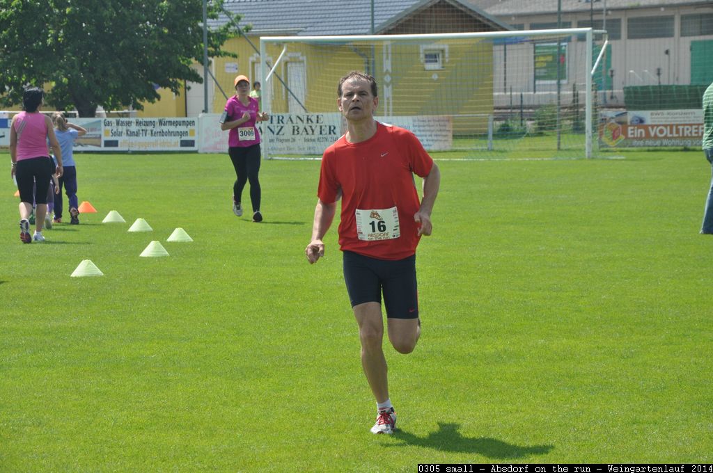 0305 small - Absdorf on the run - Weingartenlauf 2014.jpg