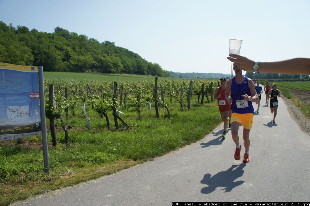 0089 small - Absdorf on the run - Weingartenlauf 2015.jpg