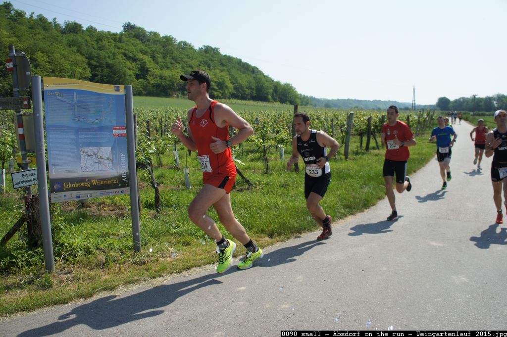 0090 small - Absdorf on the run - Weingartenlauf 2015.jpg