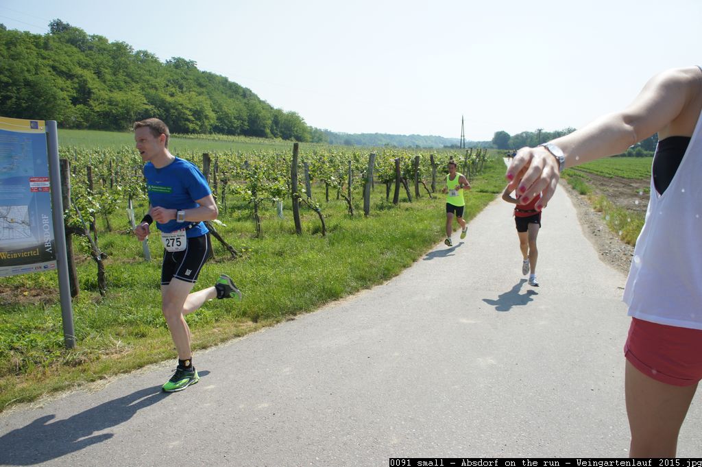 0091 small - Absdorf on the run - Weingartenlauf 2015.jpg