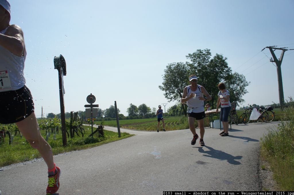 0103 small - Absdorf on the run - Weingartenlauf 2015.jpg