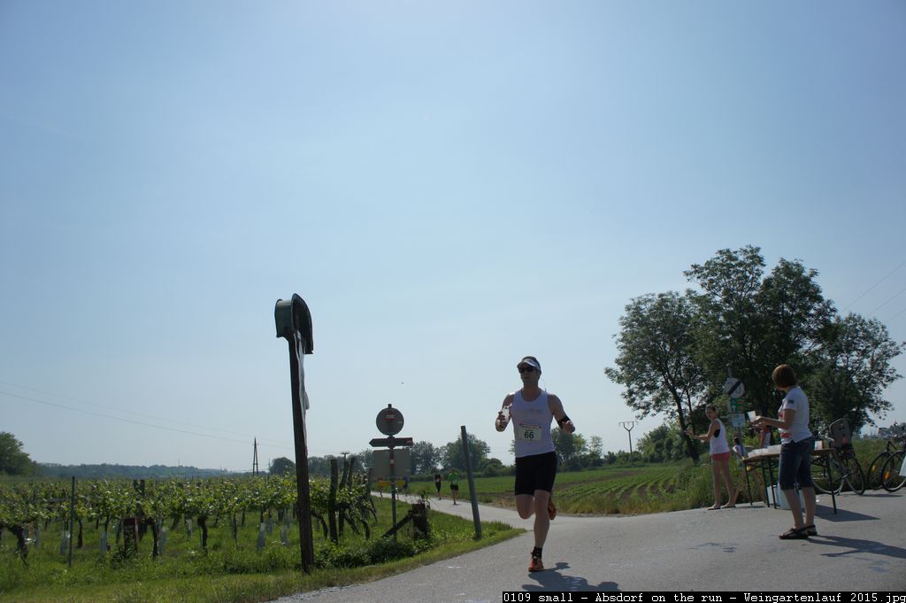 0109 small - Absdorf on the run - Weingartenlauf 2015.jpg