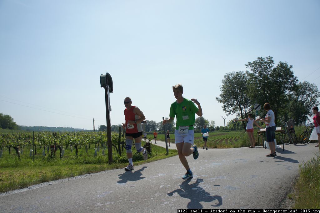 0122 small - Absdorf on the run - Weingartenlauf 2015.jpg