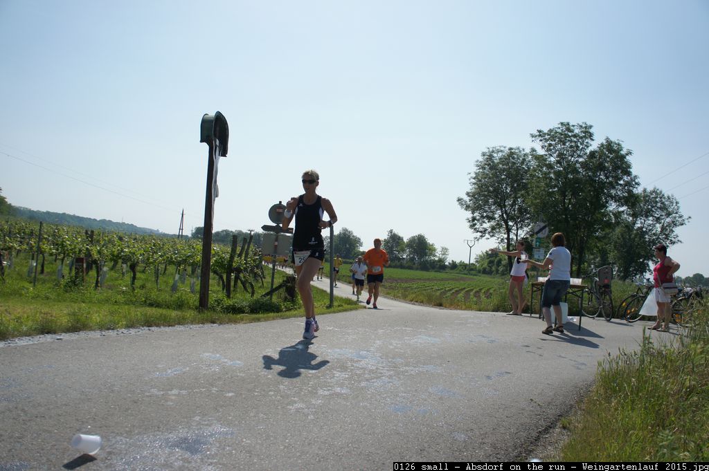 0126 small - Absdorf on the run - Weingartenlauf 2015.jpg