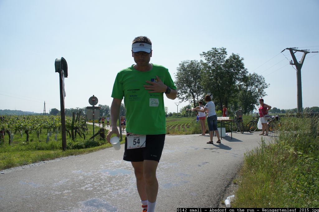 0142 small - Absdorf on the run - Weingartenlauf 2015.jpg