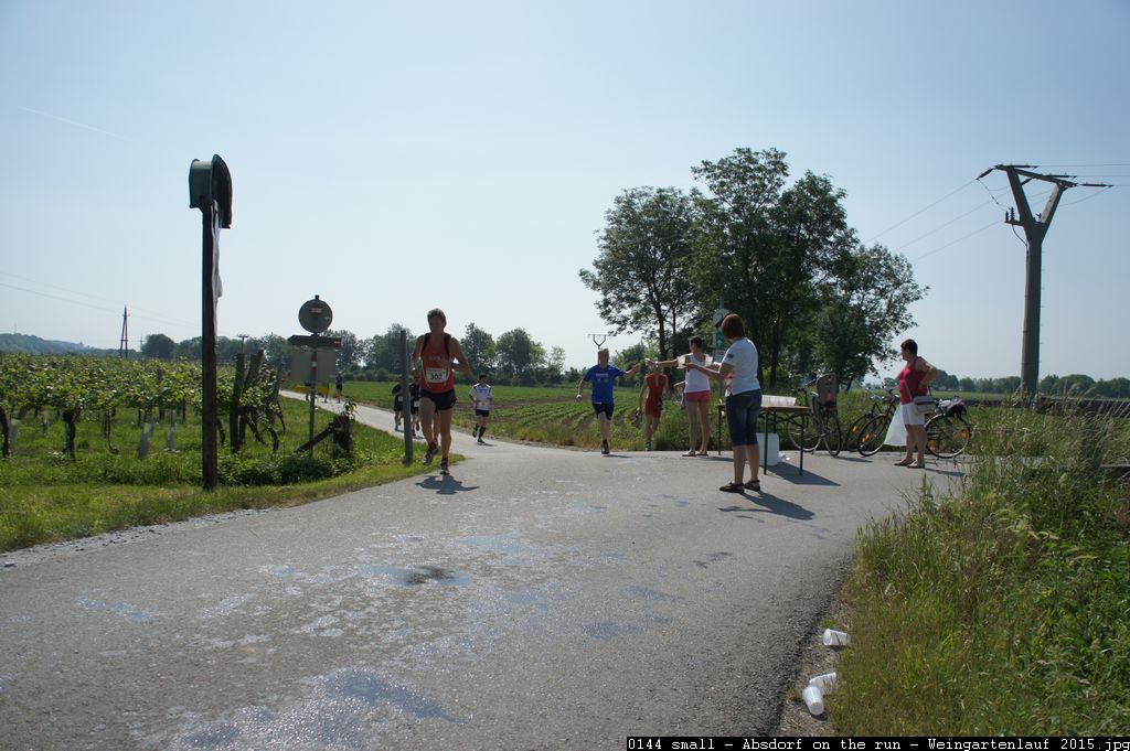 0144 small - Absdorf on the run - Weingartenlauf 2015.jpg