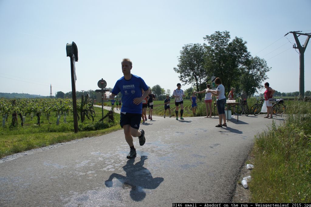 0146 small - Absdorf on the run - Weingartenlauf 2015.jpg