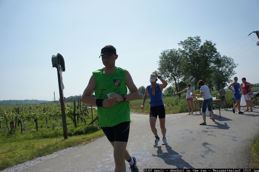 0149 small - Absdorf on the run - Weingartenlauf 2015.jpg