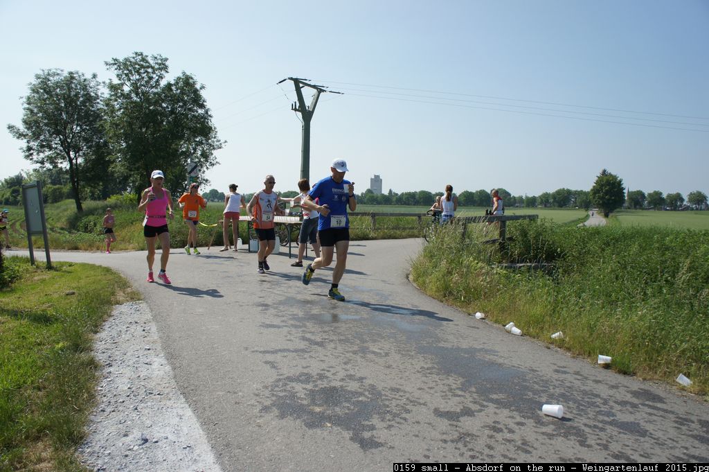 0159 small - Absdorf on the run - Weingartenlauf 2015.jpg