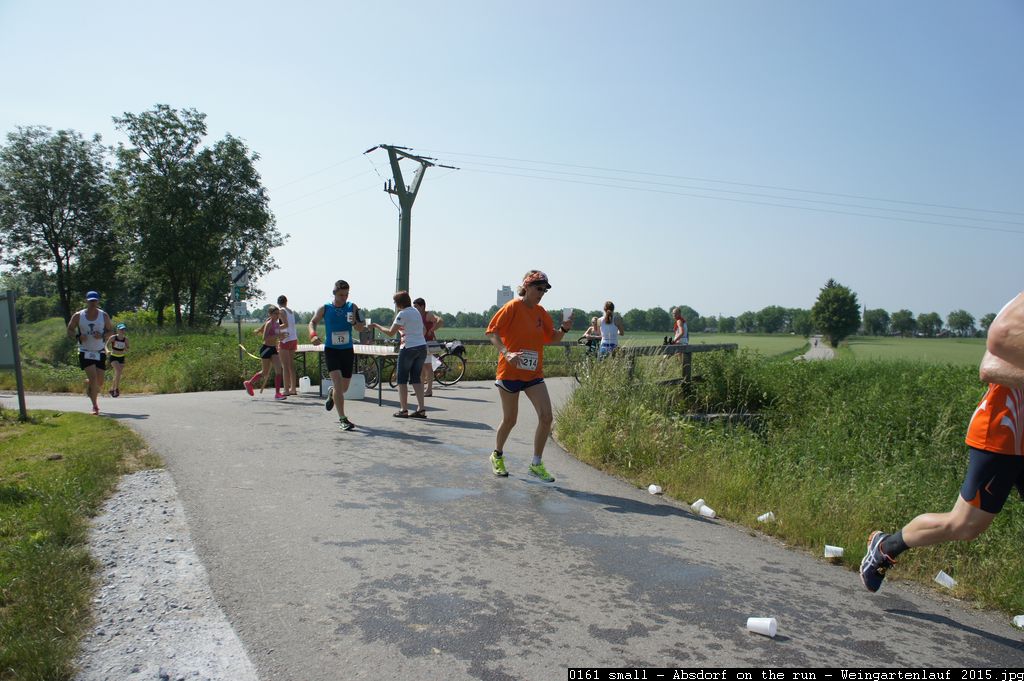 0161 small - Absdorf on the run - Weingartenlauf 2015.jpg