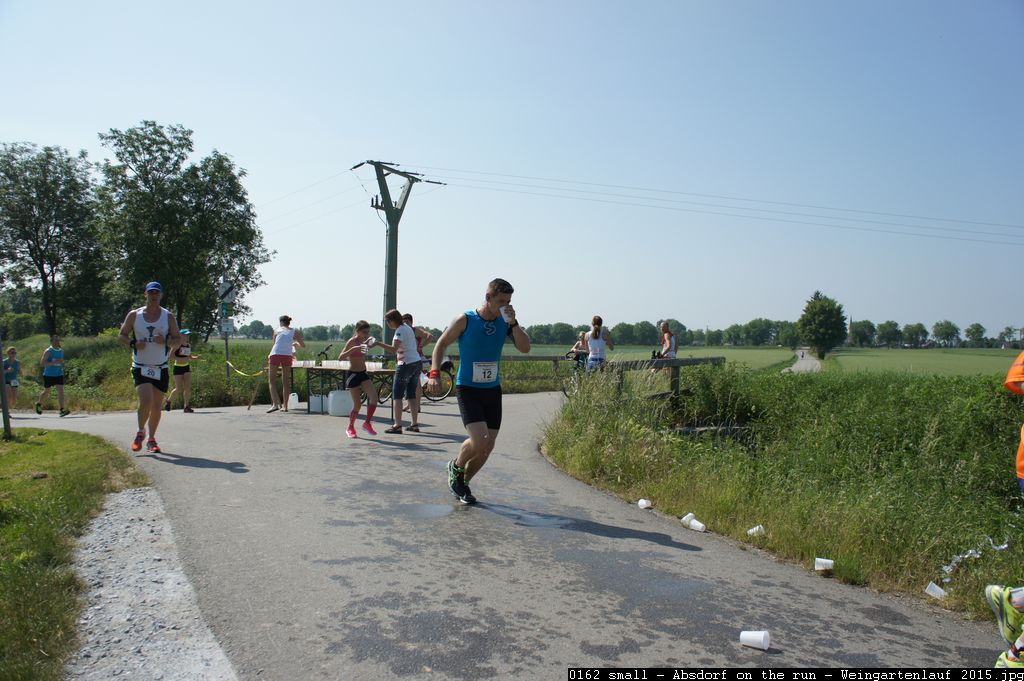 0162 small - Absdorf on the run - Weingartenlauf 2015.jpg