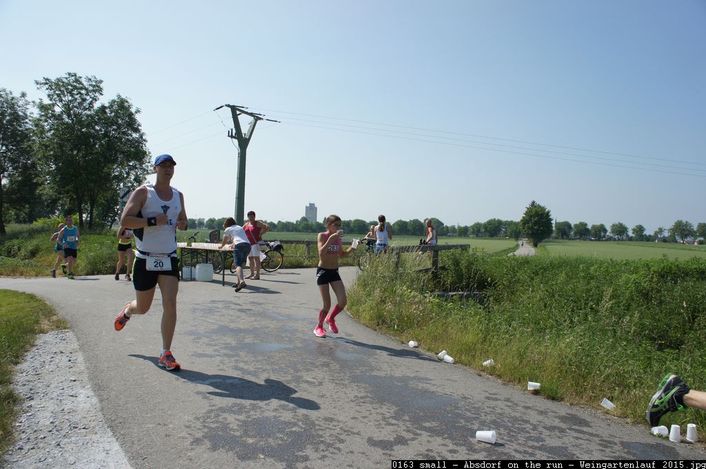 0163 small - Absdorf on the run - Weingartenlauf 2015.jpg