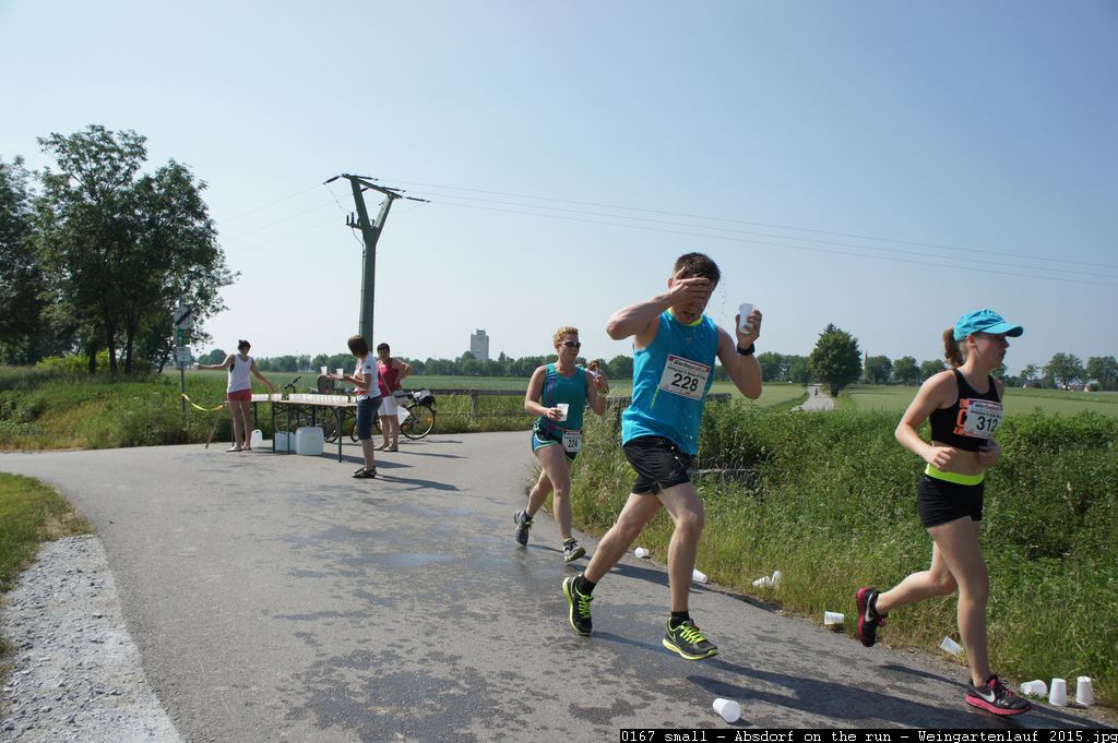 0167 small - Absdorf on the run - Weingartenlauf 2015.jpg