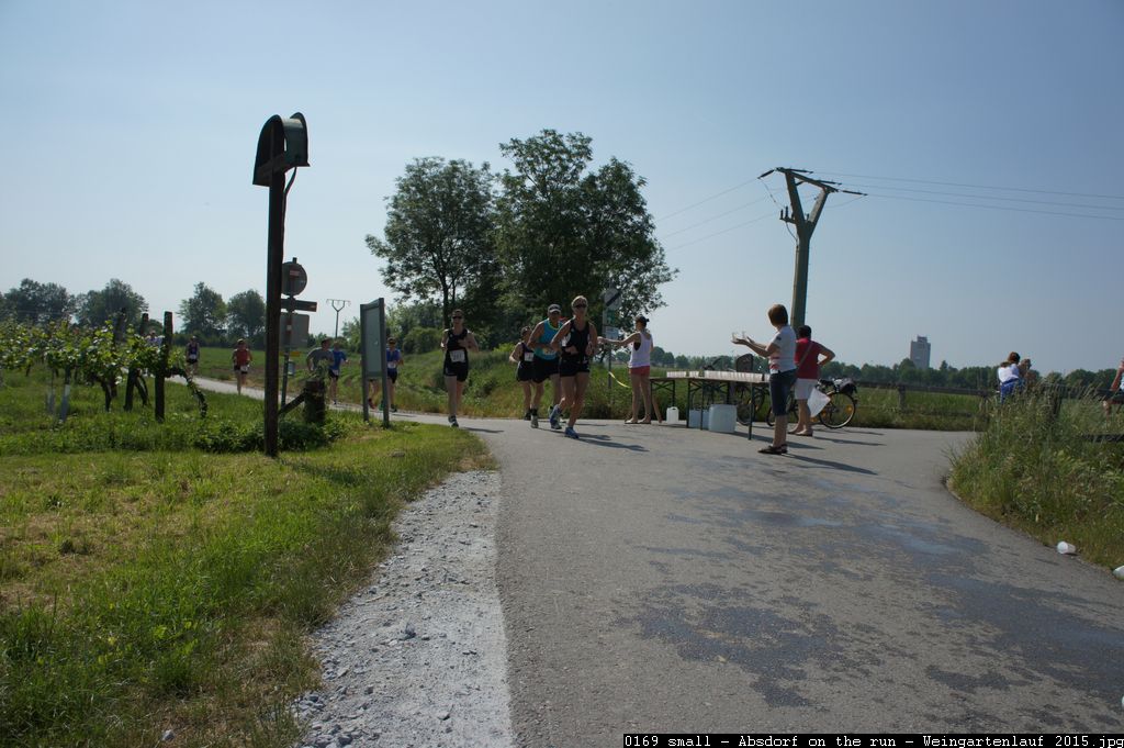 0169 small - Absdorf on the run - Weingartenlauf 2015.jpg