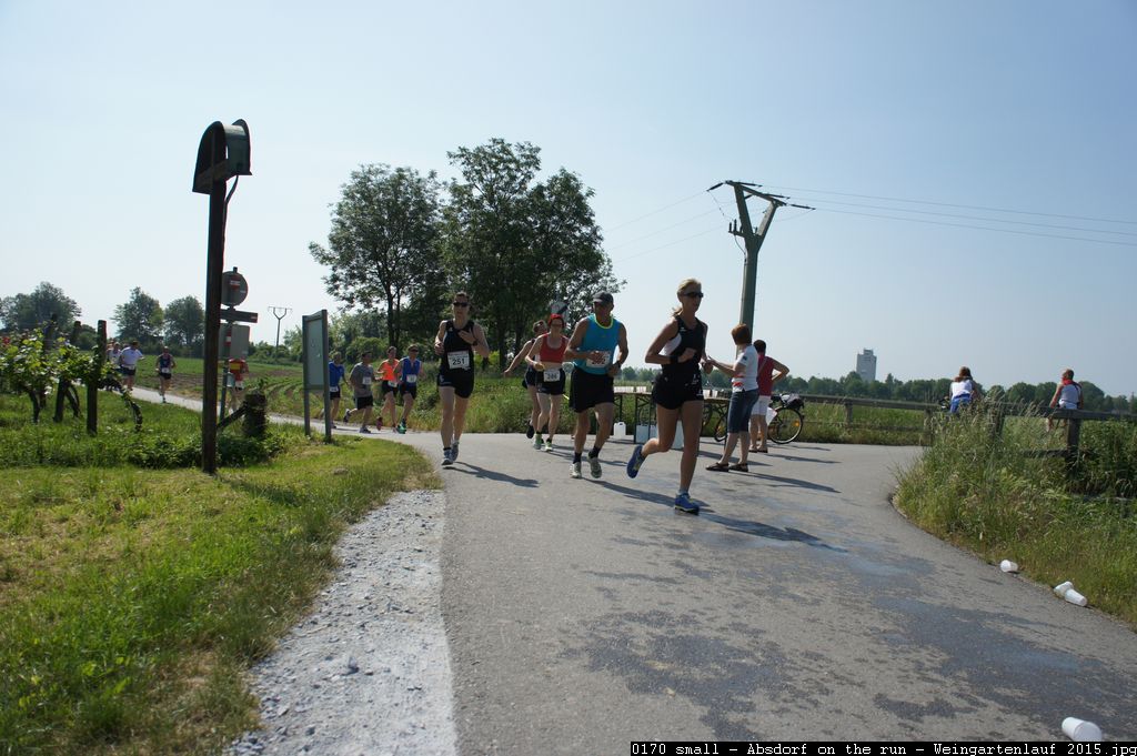 0170 small - Absdorf on the run - Weingartenlauf 2015.jpg