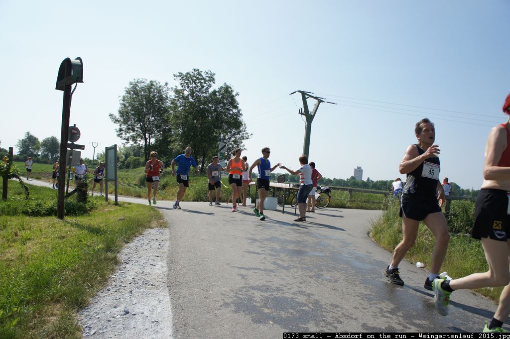0173 small - Absdorf on the run - Weingartenlauf 2015.jpg