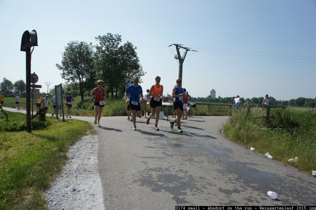 0174 small - Absdorf on the run - Weingartenlauf 2015.jpg