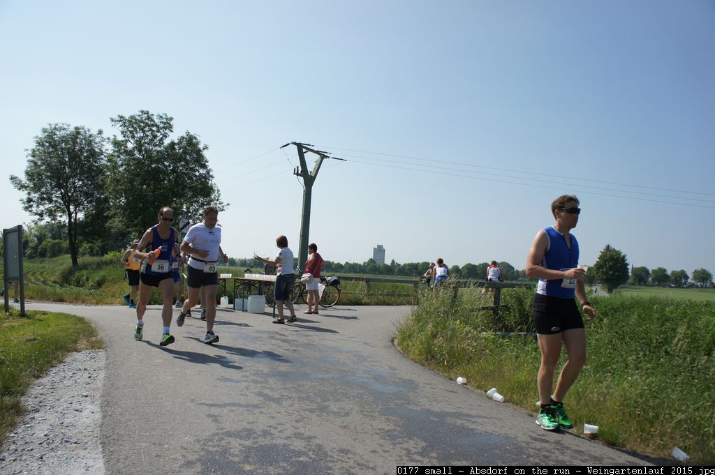 0177 small - Absdorf on the run - Weingartenlauf 2015.jpg