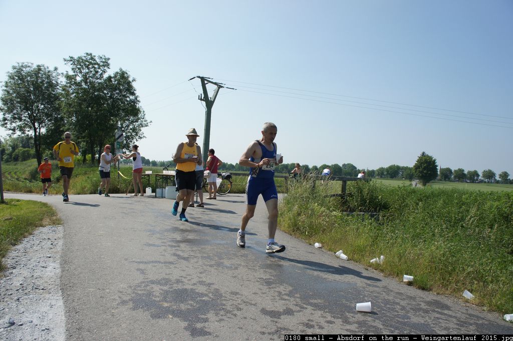 0180 small - Absdorf on the run - Weingartenlauf 2015.jpg