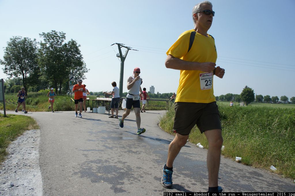 0182 small - Absdorf on the run - Weingartenlauf 2015.jpg