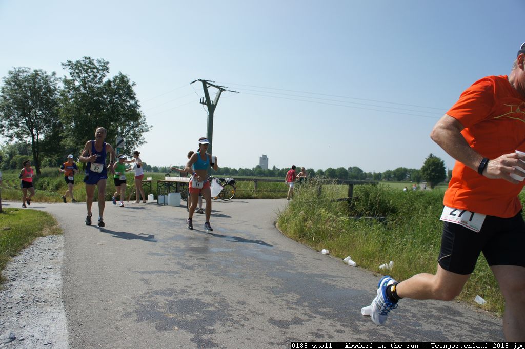 0185 small - Absdorf on the run - Weingartenlauf 2015.jpg