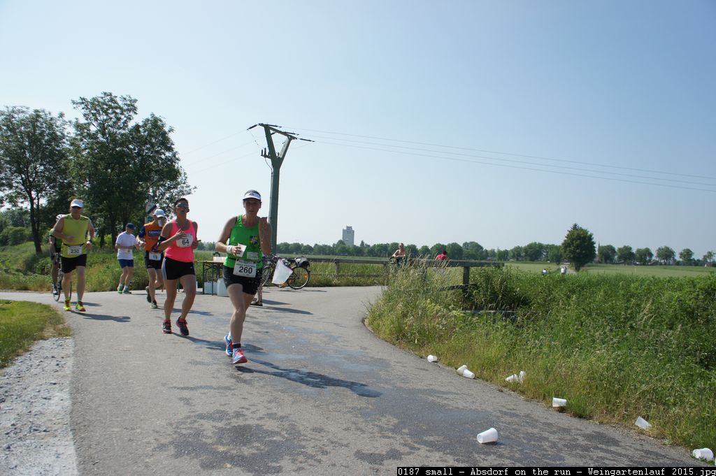 0187 small - Absdorf on the run - Weingartenlauf 2015.jpg