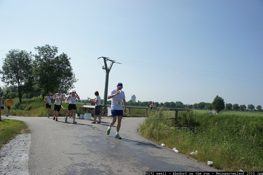 0192 small - Absdorf on the run - Weingartenlauf 2015.jpg