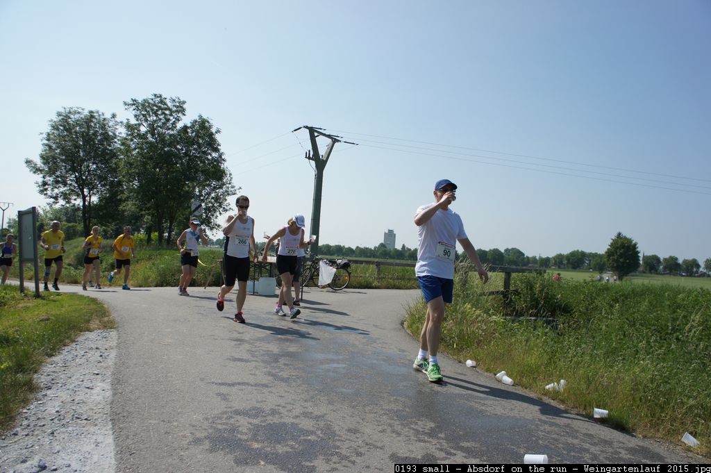 0193 small - Absdorf on the run - Weingartenlauf 2015.jpg