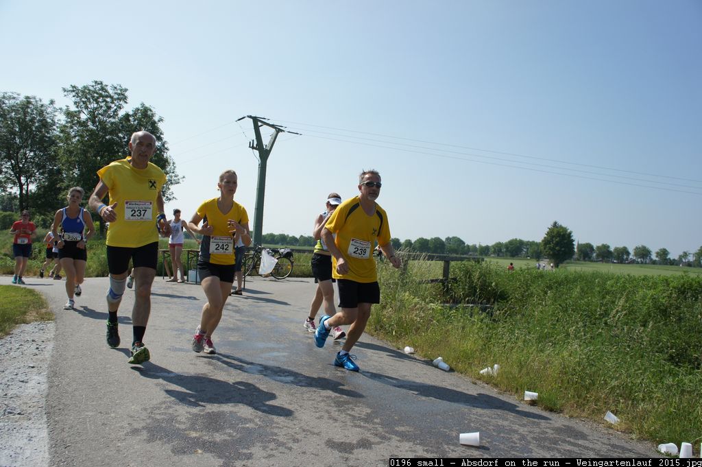 0196 small - Absdorf on the run - Weingartenlauf 2015.jpg