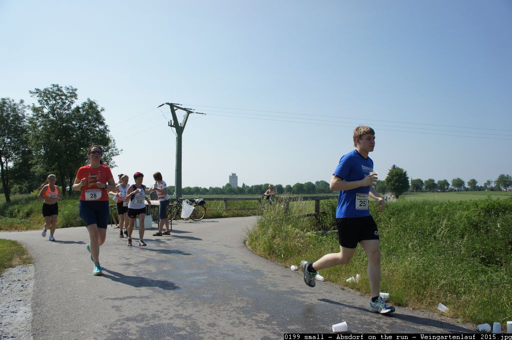 0199 small - Absdorf on the run - Weingartenlauf 2015.jpg