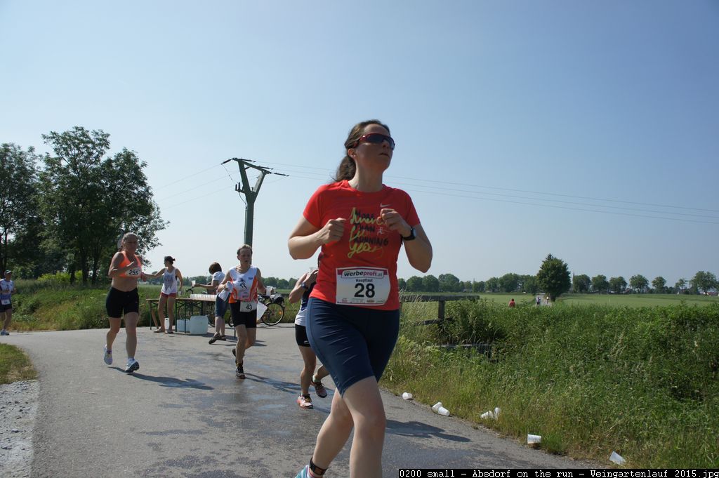 0200 small - Absdorf on the run - Weingartenlauf 2015.jpg
