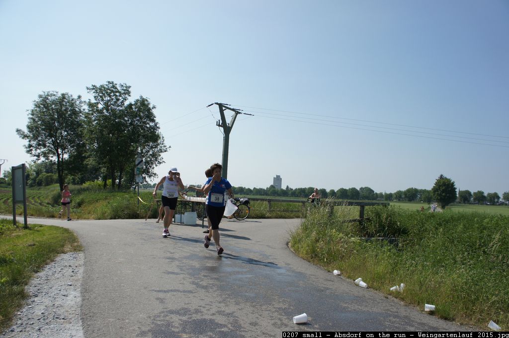 0207 small - Absdorf on the run - Weingartenlauf 2015.jpg