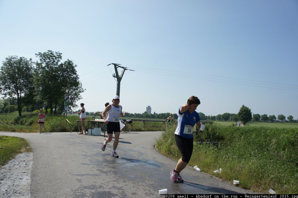 0208 small - Absdorf on the run - Weingartenlauf 2015.jpg