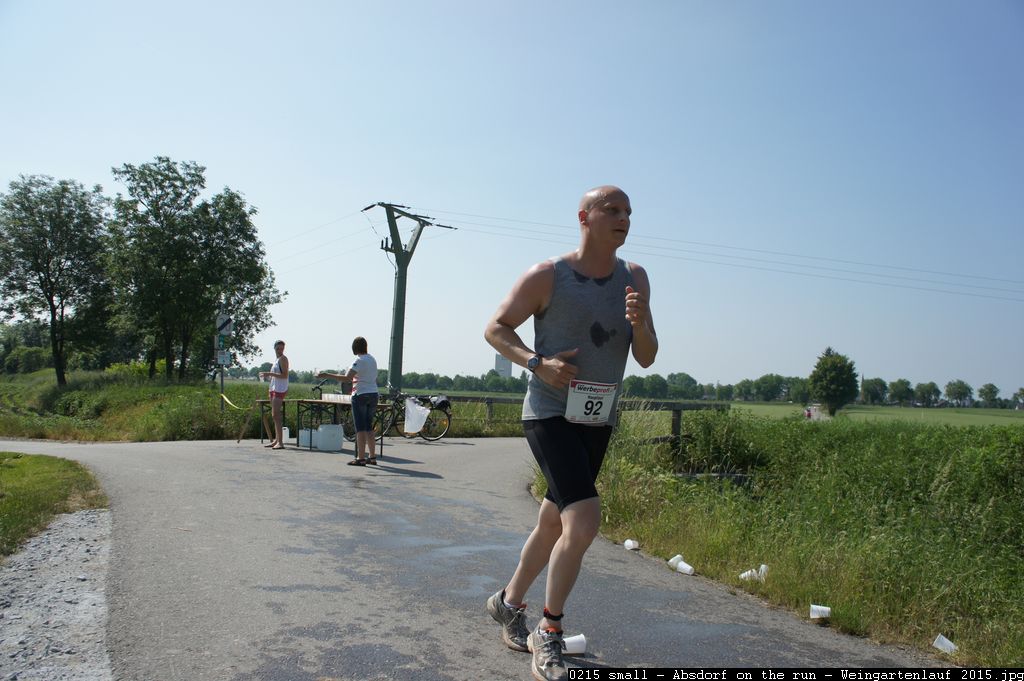 0215 small - Absdorf on the run - Weingartenlauf 2015.jpg