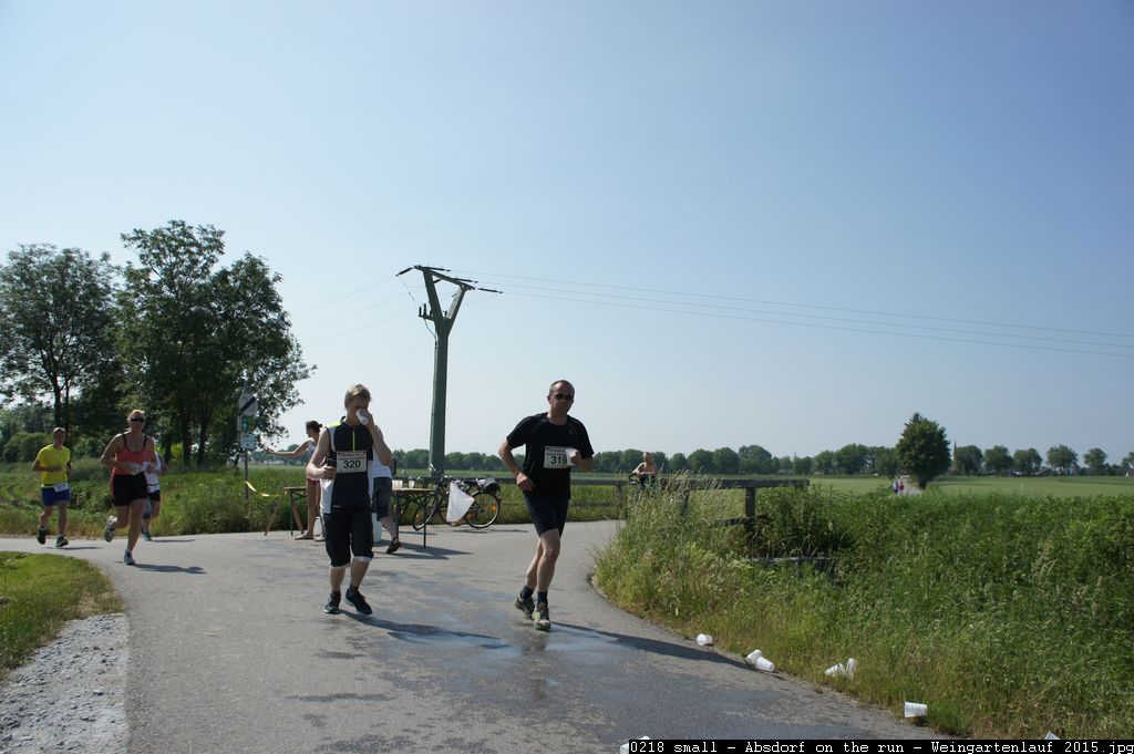 0218 small - Absdorf on the run - Weingartenlauf 2015.jpg
