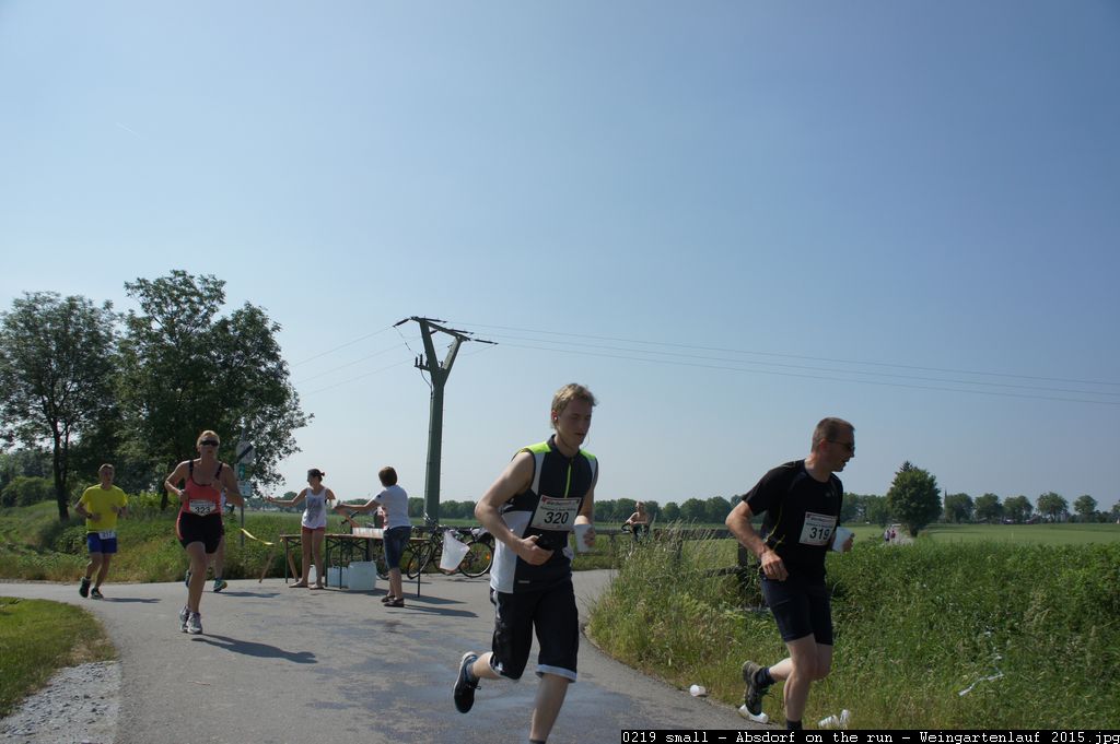 0219 small - Absdorf on the run - Weingartenlauf 2015.jpg