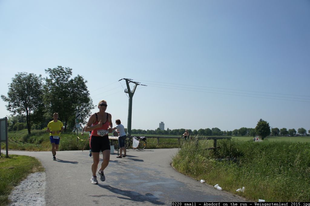 0220 small - Absdorf on the run - Weingartenlauf 2015.jpg