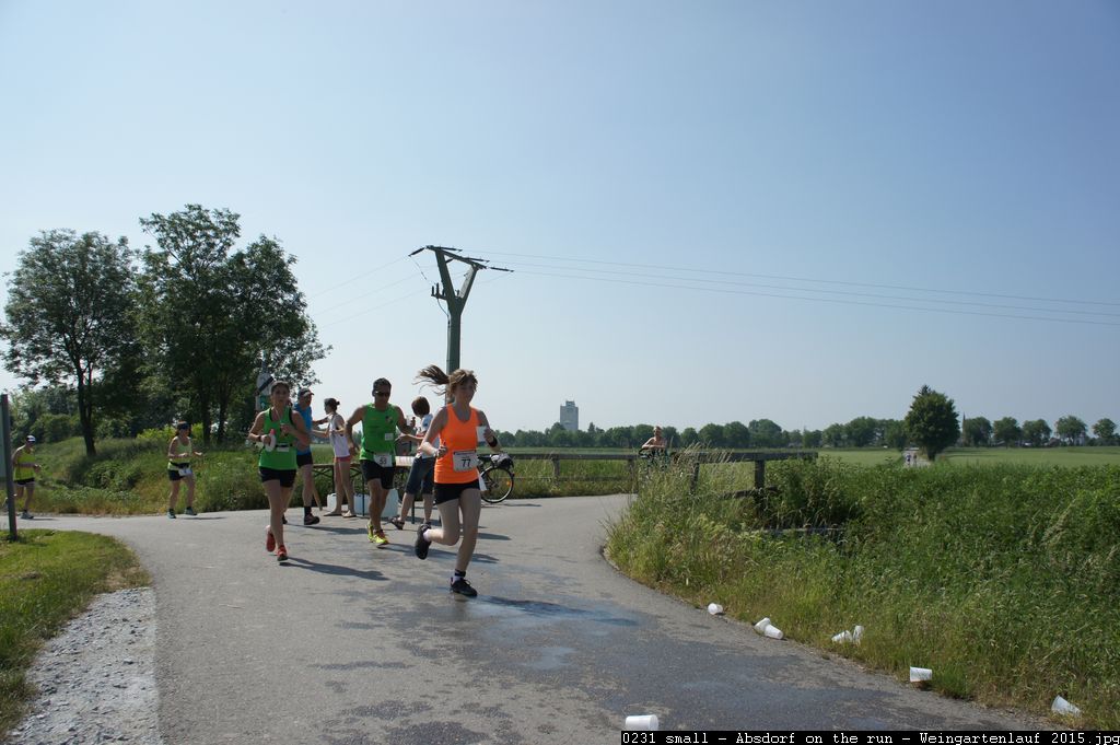 0231 small - Absdorf on the run - Weingartenlauf 2015.jpg