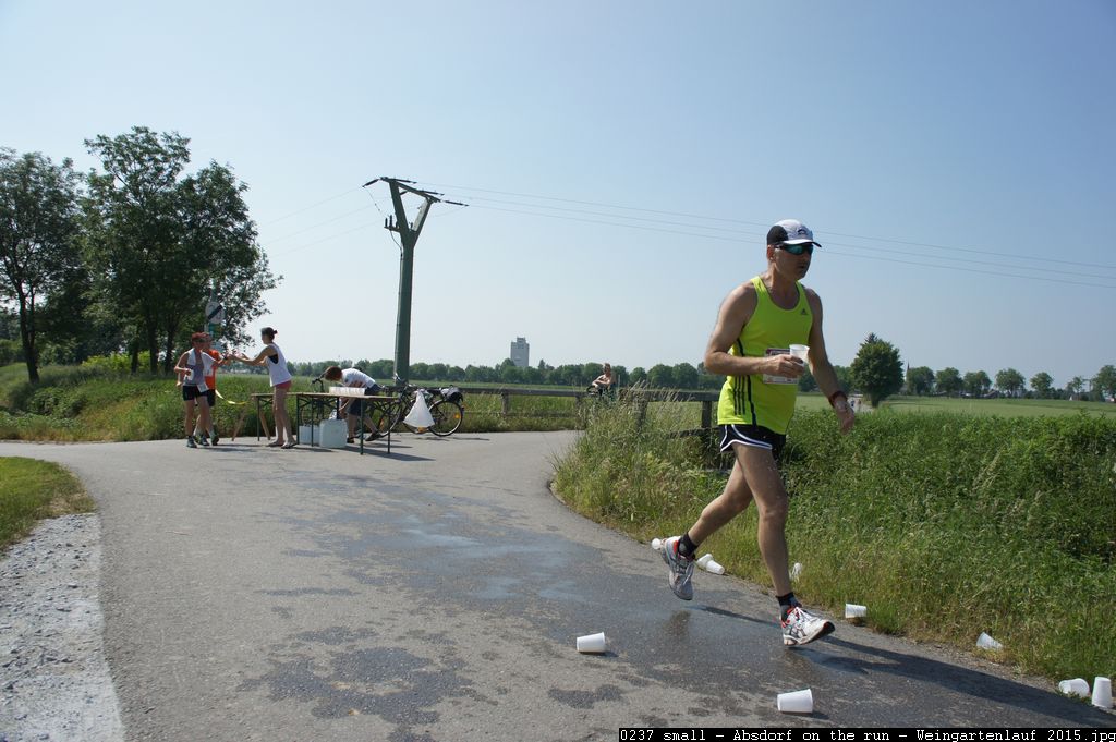 0237 small - Absdorf on the run - Weingartenlauf 2015.jpg